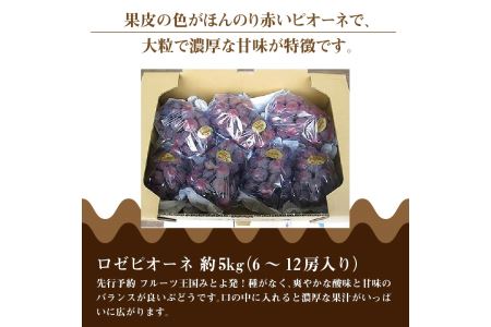 ロゼピオーネ 約5kg