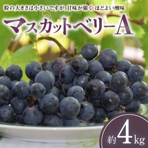 マスカットベリーA 約4kg