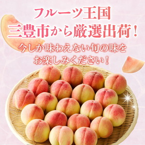 【期間限定】みとよの桃 (小玉) 約2.8kg