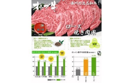 黒毛和牛オリーブ牛ロース焼肉用 約500g×2