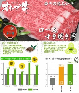 黒毛和牛オリーブ牛ロースすき焼き用 約500g×2