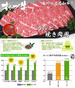 黒毛和牛オリーブ牛 カルビ焼肉用 約500g