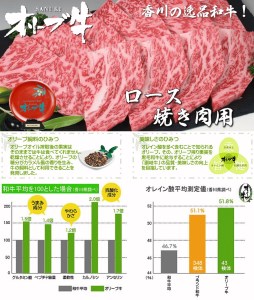 黒毛和牛オリーブ牛ロース焼肉用 約500g