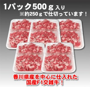 国産交雑牛切り落とし どど～んと2.5kg