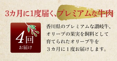 オリーブ牛お試し肉セット(全4回)【定期便】