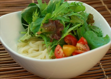 純生！【冷うどんが旨い】本場さぬきうどんめん一のひやひや(8人前)【L-16】