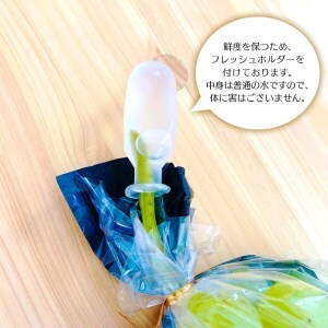 【田口ファミリーファーム】ぶどうﾐｯｸｽ(瀬戸ジャイアンツ入り)2~4房(約1.5kg~2kg)(2026年7月中旬発送開始) N053-YZB072