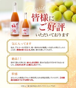 梅酒 あらごし梅酒 720ml 梅乃宿【umyd004A】