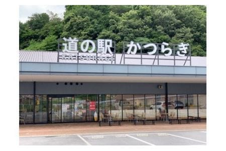 手作り ジャム １０種セット ／ お取り寄せ いちじく 梅 柿 トマト りんご ミックス など【ekik001A】