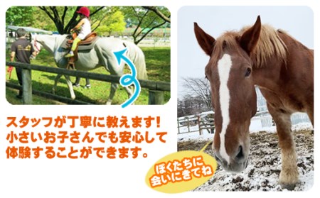 引馬体験 1回分 チケット 【馬っこパーク・いわて】／ ふれあい 引馬 引き馬 乗馬 体験 乗馬体験 馬 ホース ホースセラピー 動物 アニマル アニマルセラピー セラピー 癒し 体験チケット 観光 遊び あそび お出掛け お出かけ おでかけ アクティビティ 子供 子ども こども 大人 おとな おすすめ