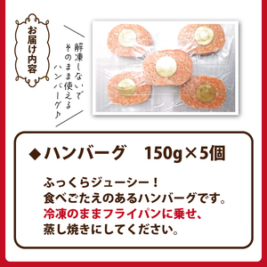 国産 四元豚 ハンバーグ 小分け 真空パック 150g 5個 ／ ありすぽーく 豚 肉 豚肉 総菜 惣菜 洋風 洋風総菜 洋風惣菜 おかず 小分け包装 個包装 真空 解凍いらず 解凍不要 焼くだけ 簡単調理 時短調理 手軽 簡単 便利 時短 １５０ｇ ５個 冷凍食品 冷食 自宅用 家庭用 人気 おすすめ