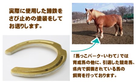 蹄鉄 （ 鉄製 ゴールド ）& 馬のしっぽの毛 ストラップ （ 栗毛 ） 【馬っこパーク・いわて】／ てい鉄 さび止め 錆止め サビ止め 金 金色 鉄 加工 馬毛 尻尾 幸運 開運 厄除け 魔除け アイテム 本物 インテリア アクセサリー おすすめ