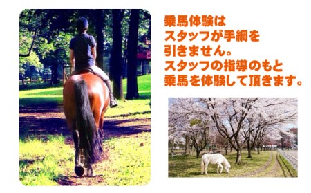 乗馬体験 1回分 チケット 【馬っこパーク・いわて】／ ふれあい 乗馬 体験 馬 ホース ホースセラピー 動物 アニマル アニマルセラピー セラピー 癒し 体験チケット 観光 遊び あそび お出掛け お出かけ おでかけ アクティビティ 子供 子ども こども 大人 おとな おすすめ