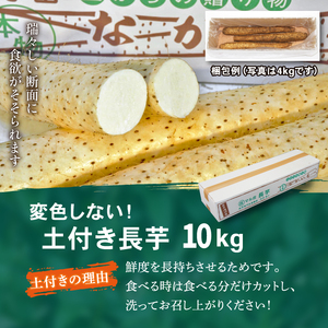 変色しない！ 土付き 長芋 10kg 【マル庄】 ／ 長いも 長イモ ながいも 山芋 やまいも ヤマイモ 芋 いも イモ 春野菜 秋野菜 生野菜 根菜 時短 時短食材 便利 手軽 国産 とろろ 山かけ おすすめ オススメ 人気 １０kg 10キロ １０キロ