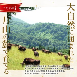 FYN9-858 山形県産黒毛和牛《月山和牛》福寿館 切り落とし 400g 牛肉 山形県 西川町