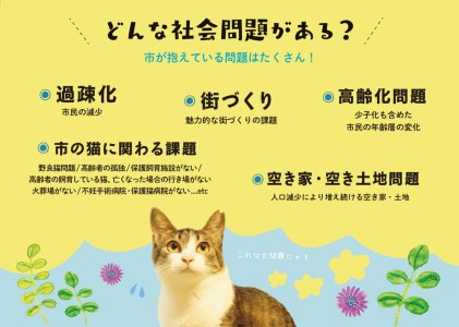 SAVE THE CAT HIDA PROJECT　ネコリパブリックの保護猫シェルター＆ホスピスに名前を刻める権利[neko02n]