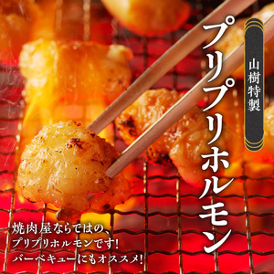 山樹の国産牛白ころホルモン焼き（丸腸）味付　300g [047R19]牛ホルモン ホルモン焼き とろホルモン たれホルモン