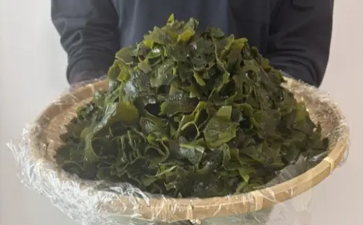 宗像産 乾燥カットわかめ 200g×2袋（計400g）【道の駅むなかた】_HA0447