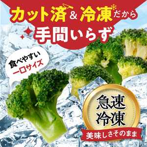 JAむなかたブロッコリー部会より！冷凍ブロッコリー1kg【ほたるの里】_HA0621