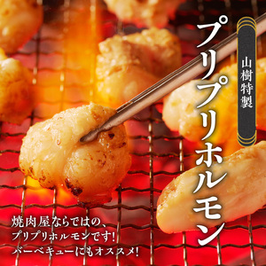 山樹の国産牛とろホルモン焼き（味付/タレ）　300g [047R16]牛ホルモン ホルモン焼き とろホルモン たれホルモン