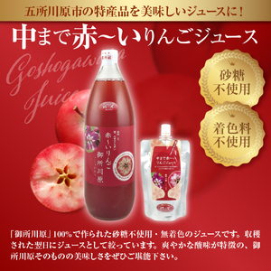 中まで赤～いりんご「御所川原」セレクト