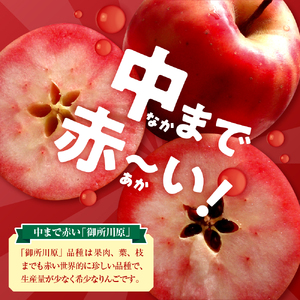 ジャム　中まで赤～いりんごのりんごジャム 100g×2瓶 