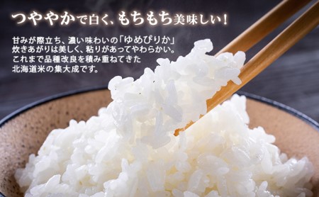 定期便 6ヶ月連続6回 北海道産 ゆめぴりか 精米 10kg 米 特A 白米 お取り寄せ ごはん 道産米 ブランド米 半年 お米 ご飯 米 おまとめ買い ホクレン 北海道 倶知安町 【定期便・お米・ゆめぴりか・精米】