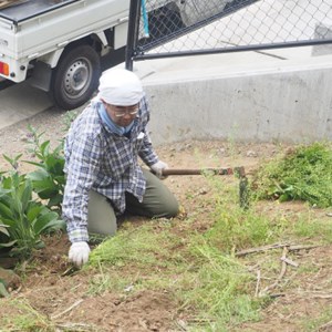 ふるさと小菅をきれいに！除草、清掃等サービス