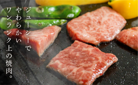 飛騨牛肩ロース・もも焼肉セット 各400g【11-22】