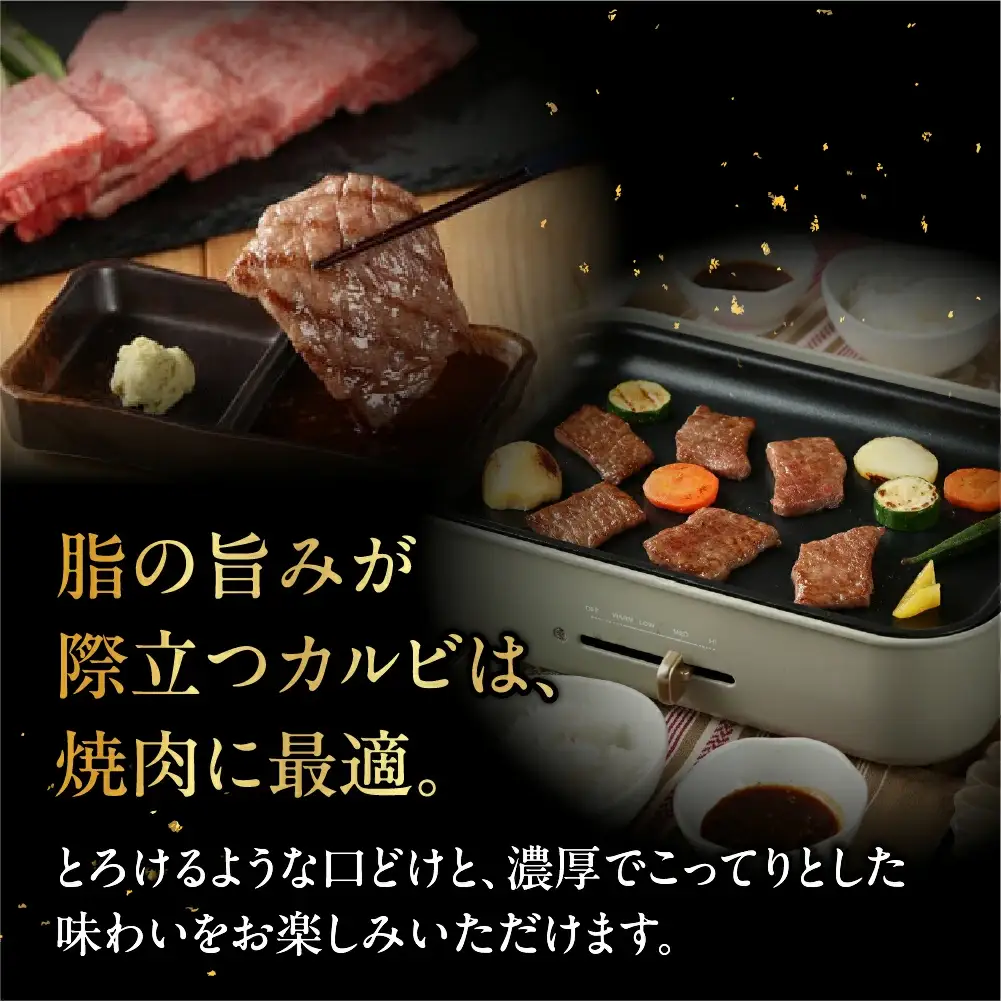 飛騨牛カルビ焼肉  300g 【22-3】