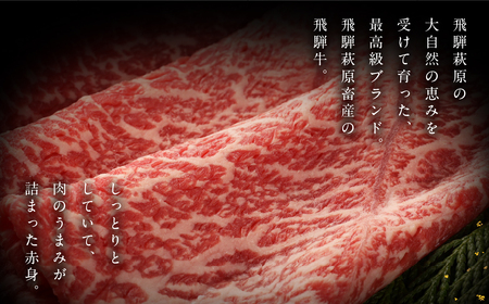 飛騨牛ももすき焼  300g  【22-4】