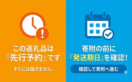 先行予約≪発送時期2026年7月中旬～12月頃まで≫【ジャンボ鮎】天然の馬瀬川鮎 ６尾【26-1】 
