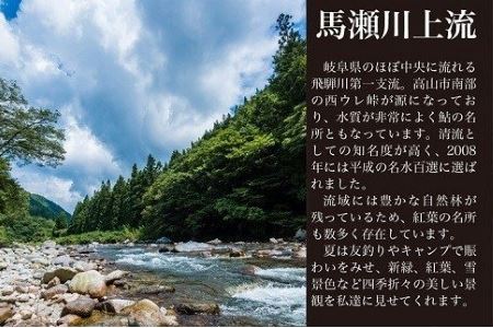 【令和8年】馬瀬川上流雑魚年釣証  1枚 【36-2】