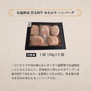 氷温熟成和牛　黒毛和牛ゆたか牛ハンバーグセット