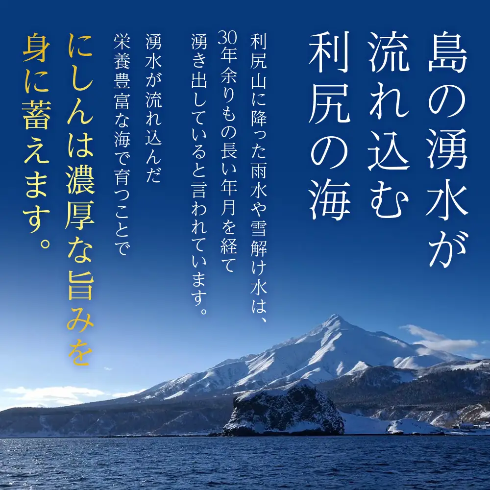 利尻島産 糠塩ニシン１０尾＜利尻漁業協同組合＞