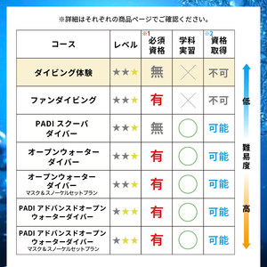 ＜ドラゴンレディ＞体験ダイビング　2回コース [マリンスポーツ アクティビティ]