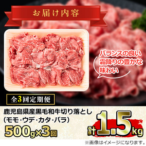 ＜定期便・全3回＞ 鹿児島県産 黒毛和牛 A5等級 切り落とし (約500g×3回)  前田畜産 たかしや 0341701b