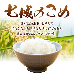 【5ヶ月定期便】令和7年産 七城のこめ 精米 5kg×2袋/月×5回 計50kg ヒノヒカリ ひのひかり 有限会社七城町特産品センター 《お申し込み月の翌月から出荷開始》 熊本県 菊池市 定期便 お米 米 白米 九州産 熊本県産