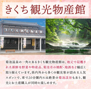 菊芋パウダーセット 2袋 50g×2袋 合計100g パウダー 有限会社きくち観光物産館 《90日以内に出荷予定(土日祝除く)》熊本県 菊池市 粉末 きくいも 菊芋 健康 セット 送料無料