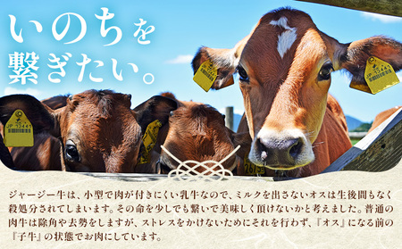 菊池市産 仔牛肉詰め合わせ 合計約600g セット 宮川ファーム《90日以内に出荷予定(土日祝除く)》 部位おまかせ ランダム お肉 牛肉 ジャージー仔牛肉 国産 熊本県産 九州産 冷凍 送料無料