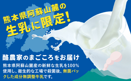 牛乳 常温保存可能 成分無調整 生乳100％使用 大阿蘇牛乳 紙パック 1000ml×6本 合同会社たべたせいか《30日以内に出荷予定(土日祝除く)》熊本県 菊池市 牛乳 乳飲料 乳性飲料 ドリンク 飲み物 飲料 セット ロングライフ 熊本県産