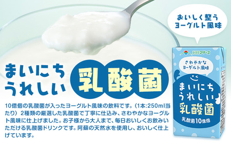 常温保存可能 まいにちうれしい 乳酸菌 ヨーグルト風味 250ml×24本 合同会社たべたせいか《30日以内に出荷予定(土日祝除く)》熊本県 菊池市 紙パック ヨーグルト飲料 乳酸菌 ドリンク 飲み物 飲料 常温保存 国産 熊本県産
