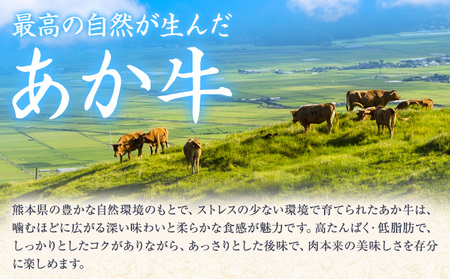 熊本県産 くまもとあか牛 ロースブロック 2kg 株式会社エフビーネット《30日以内に出荷予定(土日祝除く)》熊本県 菊池市 和牛 あか牛 牛肉 肉 赤身 ロース ブロック 国産 九州産 熊本県産 冷凍 送料無料