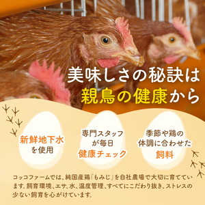 コッコファームのたまご 80個 コッコファーム《90日以内に出荷予定(土日祝除く)》熊本県 菊池市 卵 鶏卵 玉子 たまご 家庭用 熊本県産 九州産 冷蔵 送料無料