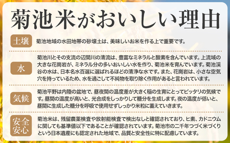 熊本県菊池産 ヒノヒカリ 5kg×4袋 計20kg 5分づき米 お米 分づき米《30日以内に出荷予定（土日祝除く）》