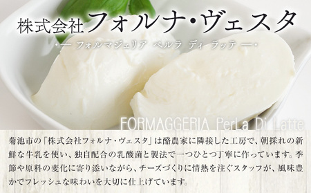 モッツァレラチーズ ミル爆 6個 チーズ モザレラ 株式会社フォルナ・ヴェスタ《90日以内に出荷予定(土日祝除く)》フレッシュ カプレーゼ おつまみ 前菜 手作り 国産 熊本県 菊池市 送料無料