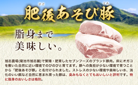 肥後あそび豚 しゃぶしゃぶ用 豚ローススライス 80g×12パック 合計960g《90日以内に出荷予定(土日祝除く)》 株式会社さつま屋産業 ぶた ブタ 豚肉 肉 ブランド豚 ロース肉 スライス 小分け 国産 九州産 熊本県産 菊池市産 冷凍 送料無料