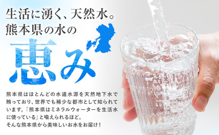 水 シリカ水 500ml × 24本 有限会社七城町特産品センター メロンドーム 《30日以内に出荷予定(土日祝除く)》 熊本県 菊池市 水 軟水 飲料 ドリンク 清涼飲料水 天然地下水 ペットボトル ミネラルウォーター 定期便 送料無料
