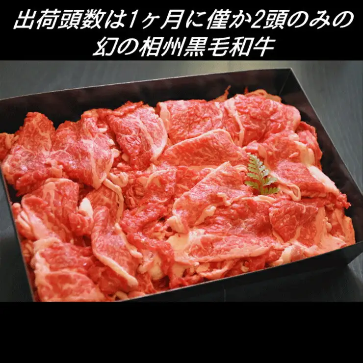 幻の相州黒毛和牛切り落とし 切り落とし200ｇ×6パック　計1.2kg【相州黒毛和牛 相州牛 幻の牛肉 極上の旨味と風味 キメ細かな上質の脂 様々な料理に ブランド牛 ブランド牛肉 神奈川特産品 かながわブランド 神奈川県 小田原市 】