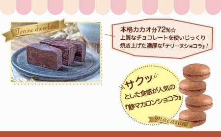 濃厚テリーヌショコラ＆静マカロンショコラセット_LG-C203_(都城市) カカオ分72％ チョコレート好きに 洋菓子 おやつ スイーツ 冷凍 